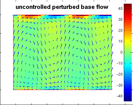 Initial image of the flow